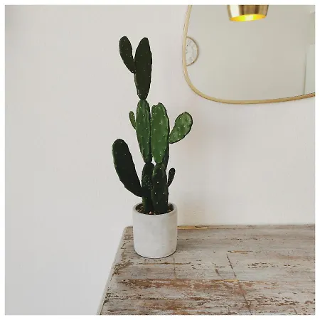 アパート Cote Hyper Centre - Bord De