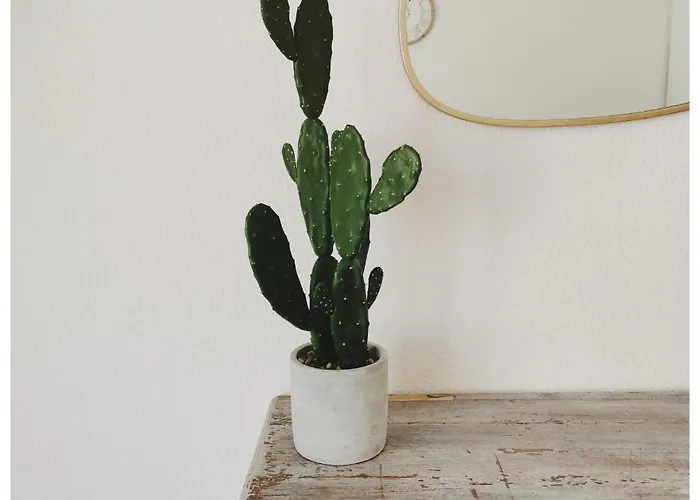 Apartamento Cote Hyper Centre - Bord De